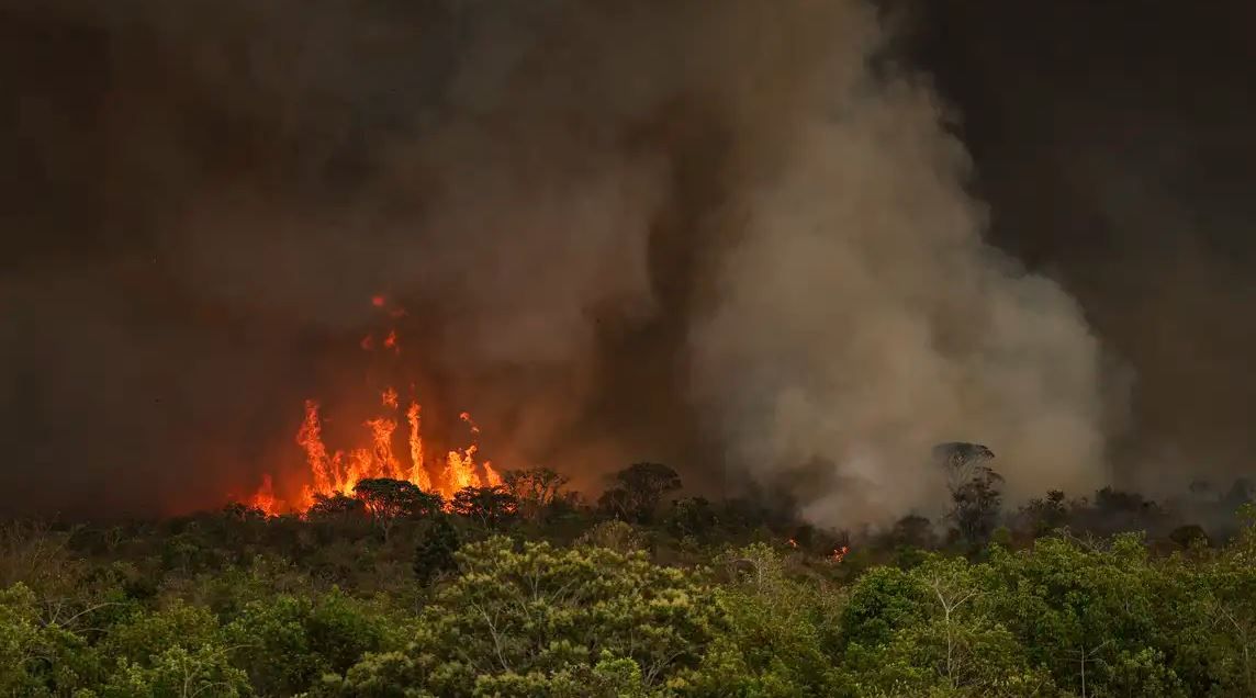 Incêndios podem ter afetado mais de 11 milhões de pessoas no Brasil