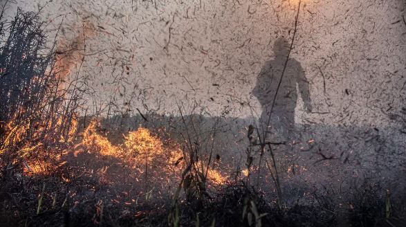 Focos de incêndios no Brasil já são 76% maior que em 2023