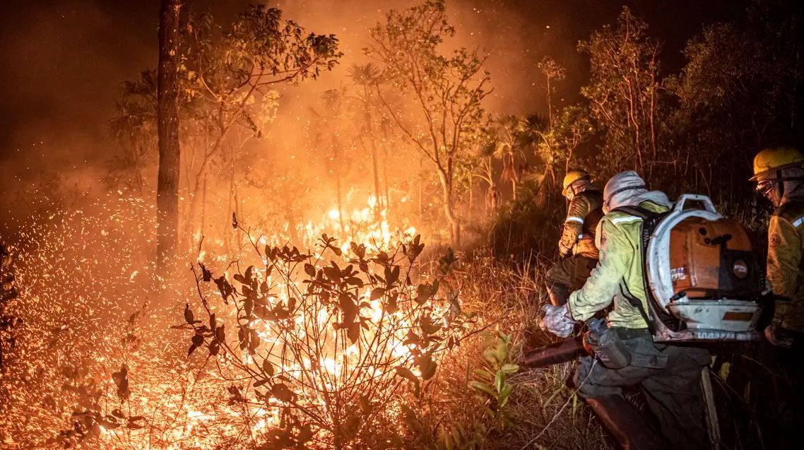 Brasil teve 11,39 milhões de hectares atingidos pelo fogo este ano