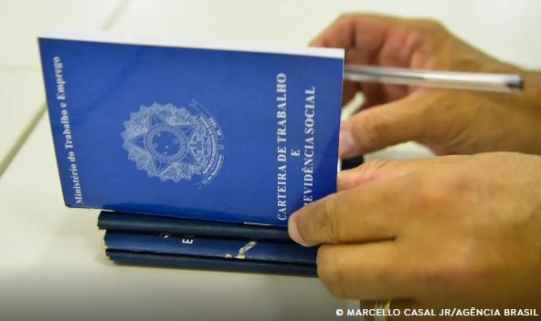 Desemprego entre jovens cai pela metade entre 2019 e 2024