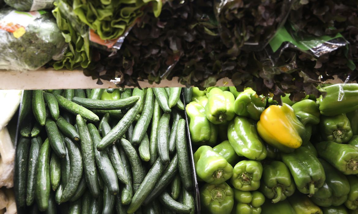 Alimentos na mesa não refletem biodiversidade